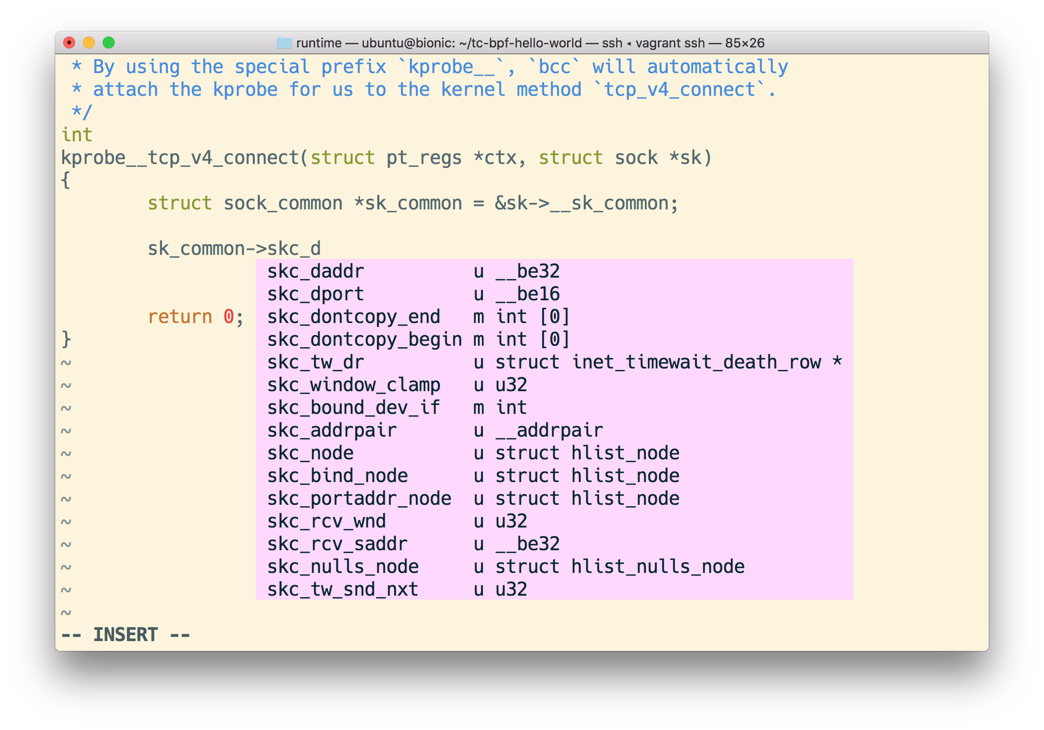 Screenshot of the terminal with VIM showing the autocomplete of a socket linux structure 